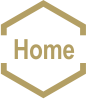 home icon